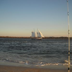 Meet your Posher, Mike